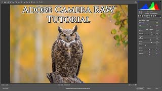 Adobe Camera RAW  Tutorial [upl. by Udelle]