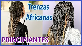 TRENZAS AFRICANAS CON EXTENSIONES  Principiantes [upl. by Allesor748]