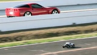 RC Cars vs Real Cars [upl. by Shalne]