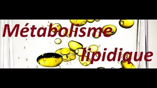 Métabolisme des lipides Part 1 [upl. by Desma]