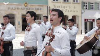 Cielito Lindo  Mariachi Juvenil Chona Esslingen Alemania [upl. by Ber]