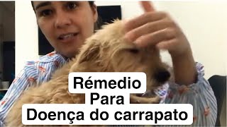 Remédio para doença do carrapato em cachorro Salva seu pet ❤️ [upl. by Persse]