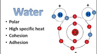 Water Chemistry [upl. by Egiarc]