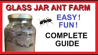 Easy Glass Jar Ant Farm  How to Make  Fun Easy Cheap Free  Complete Guide [upl. by Tisbe518]