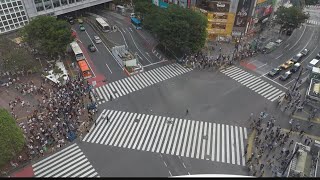 Japans Shibuya Crossing may be the busiest pedestrian crossing in the world [upl. by Alym]