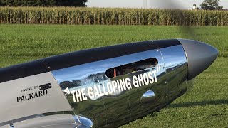 Rc quotThe Galloping Ghost P51quot [upl. by Lashondra]