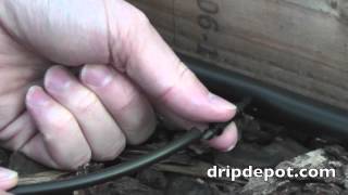 How to Use 14quot Microtubing as Feeder Lines from Mainline Tubing in a Drip System [upl. by Amyas]