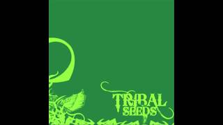 Tribal Seeds  Tribal Seeds FULL ALBUM [upl. by Ulda678]