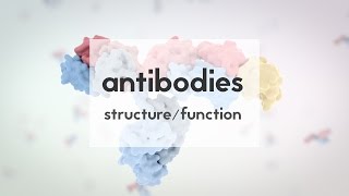 Therapeutic antibodies Part 1 structure amp function [upl. by Ruffina301]