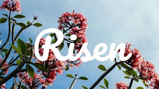 RISEN  LYRICS [upl. by Adeirf]