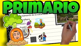 🚜 SECTOR PRIMARIO ► para NIÑOS de PRIMARIA [upl. by Osnofedli]