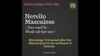 Nerello Mascalese [upl. by Arait]