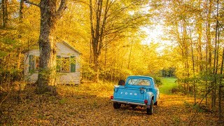 Fall Foliage in Vermont [upl. by Assenav]