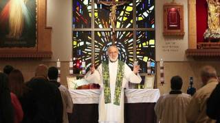 Sacraments 101 Holy Orders what ordination means [upl. by Neirol501]