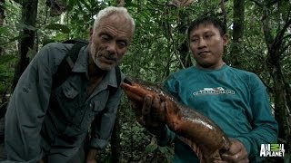 Face to Face with an Electric Eel  River Monsters [upl. by Marba]