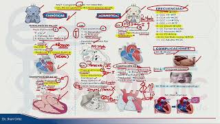 ESI 2019 PEDIATRÍA CARDIOPATÍAS CONGÉNITAS  DR JHON ORTIZ [upl. by Darreg]