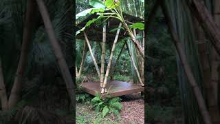 Bamboo Building simple structure [upl. by Spatz38]