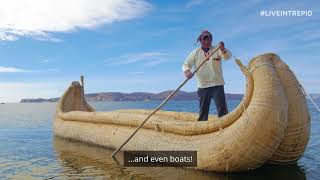 The Unique Floating Islands of Lake Titicaca [upl. by Anoyet]