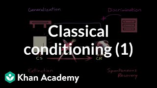 How to Create a Differential Diagnosis Part 2 of 3 [upl. by Adnam]