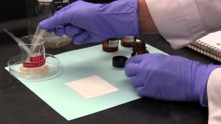 ThinLayer Chromatography TLC [upl. by Kassey]