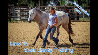 How To Start Liberty Training With Your Horse Basic Exercises Part 1 [upl. by Egres194]