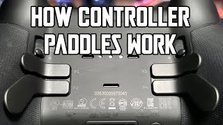 How Controller Paddles Work and Why Theyre Worth it [upl. by Onaicilef145]