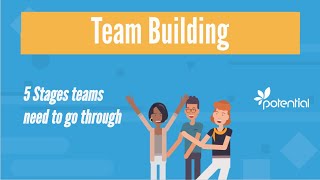 5 Stages of Team Building  What you should know when developing teams or groups [upl. by Buskus]