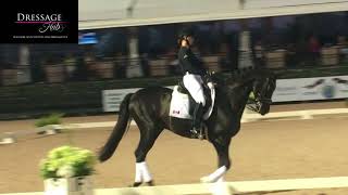 Carl Hester Masterclass The Flying Change in Dressage [upl. by Cross977]