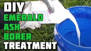 DIY Emerald Ash Borer Treatment  Treating Ash Trees for Emerald Ash Borer Yourself  EAB Treatment [upl. by Kanor]