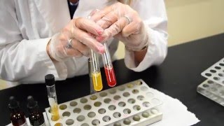 How to Inoculate amp Interpret a Nitrate Broth Tube  MCCC Microbiology [upl. by Horter]