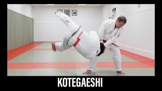 KOTEGAESHI Japanese Jujutsu [upl. by Stern]