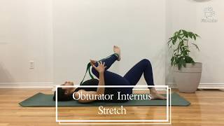 OBTURATOR INTERNUS STRETCH Follow Along [upl. by Werdnaed]