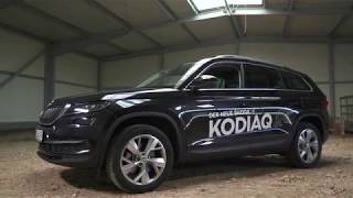 Skoda Kodiaq oder Tiguan Allspace [upl. by Kynan251]