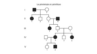 La généalogie en génétique [upl. by Hanford]