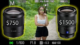 The NEW Sony 35mm 18 vs Sony Zeiss 35mm 14 Is the F14 lens worth double the price [upl. by Adikram394]