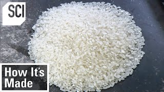 How Its Made Rice [upl. by Blane]