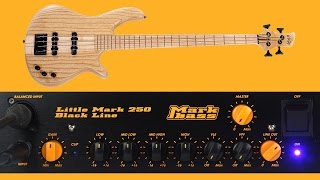 Markbass Little Mark 250 Black Line  DI SOUND TEST [upl. by Corey]