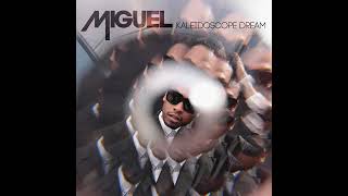 Miguel  How Many Drinks 1 Hour Loop [upl. by Kurtz]