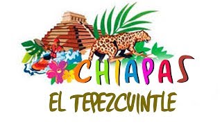 Chiapas  El Tepezcuintle [upl. by Yelnikcm959]