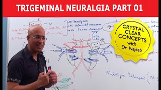 Trigeminal Neuralgia  Causes and Treatment  Part 1 [upl. by Heilner]