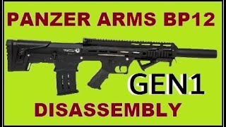 Panzer Arms BP12 Disassembly [upl. by Feola898]