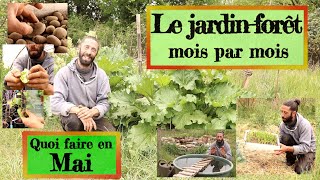 Jardin foret en Permaculture Que faire en Mai [upl. by Yursa]