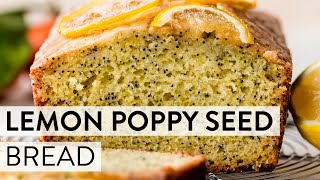 Lemon Poppy Seed Bread  Sallys Baking Recipes [upl. by Marta507]