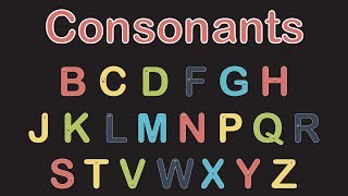 Consonants and Vowels [upl. by Ittam897]