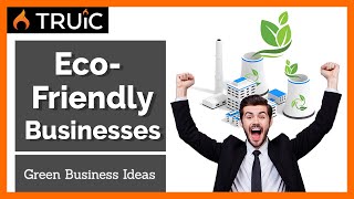 6 Eco Friendly Business Ideas Green Businesses for 2024 [upl. by Nna]