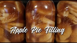 Water Bath Canning Homemade Apple Pie Filling [upl. by Aibun]