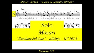 Mozart  KV165 3 Exsultate Jubilate  Alleluja  Solo [upl. by Loni]