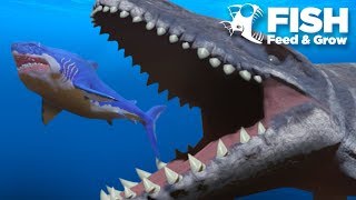 MOSASAUR vs MEGALODON  Fish Feed Grow [upl. by Anaeirb641]