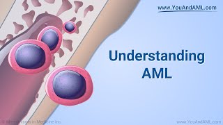 Understanding AML [upl. by Lindemann930]