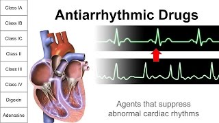 Antiarrhythmic Drugs [upl. by Eniamrahs]